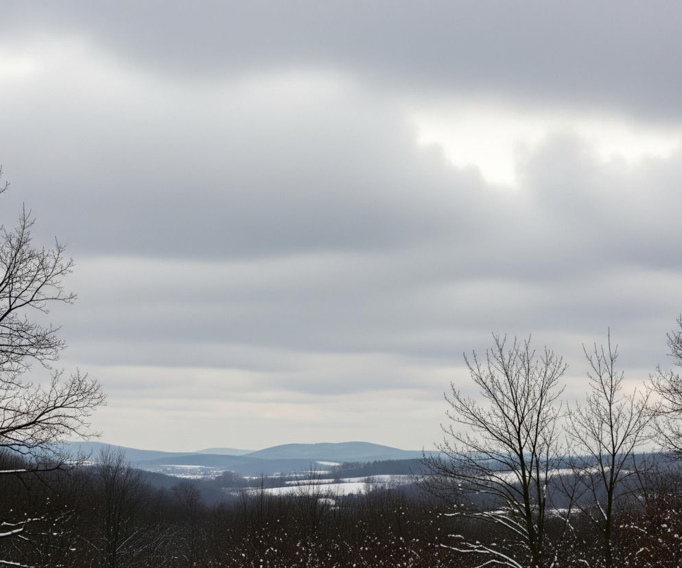 Krajobraz zimowy ukazuje rozległą dolinę z pagórkami na horyzoncie pod zachmurzonym, szarym niebem, z jaśniejszym obszarem przypominającym prześwit słońca po prawej stronie centrum. Na pierwszym planie, po lewej i prawej stronie, dominują nagie drzewa z ciemnymi gałęziami, częściowo pokryte śniegiem. Poniżej, krajobraz jest pokryty śniegiem i ciemniejszymi krzewami, a w oddali widać zabudowania wiejskie pośród zaśnieżonych pól i zalesionych wzgórz.