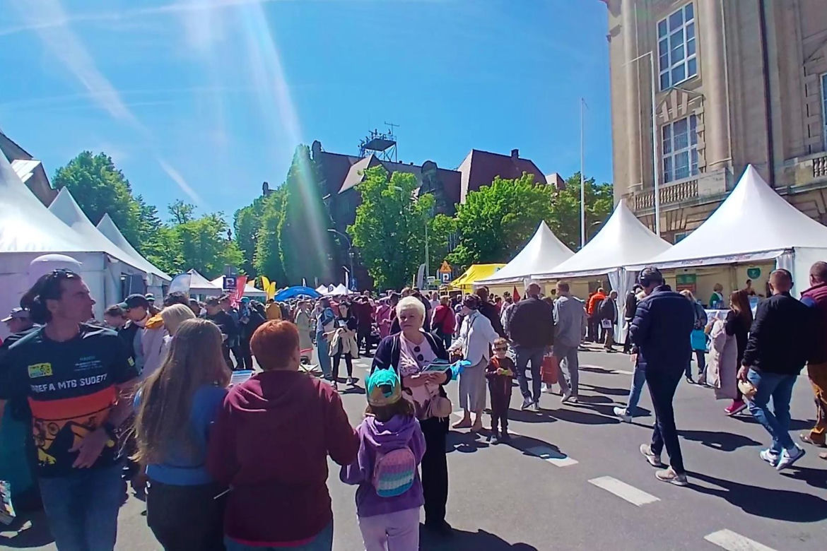 Piknik nad Odrą