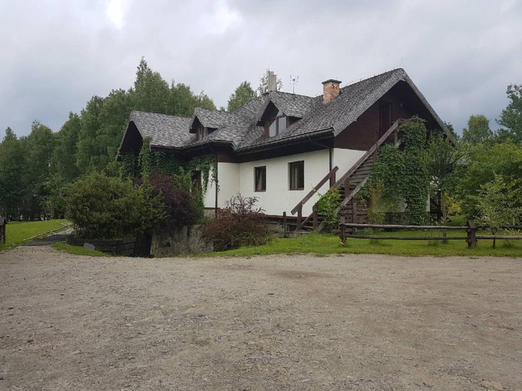 Wilk pogryzł dzieci