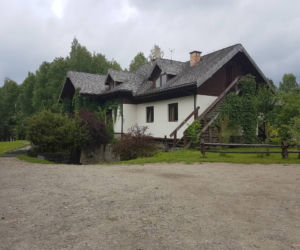 Wilk pogryzł dzieci