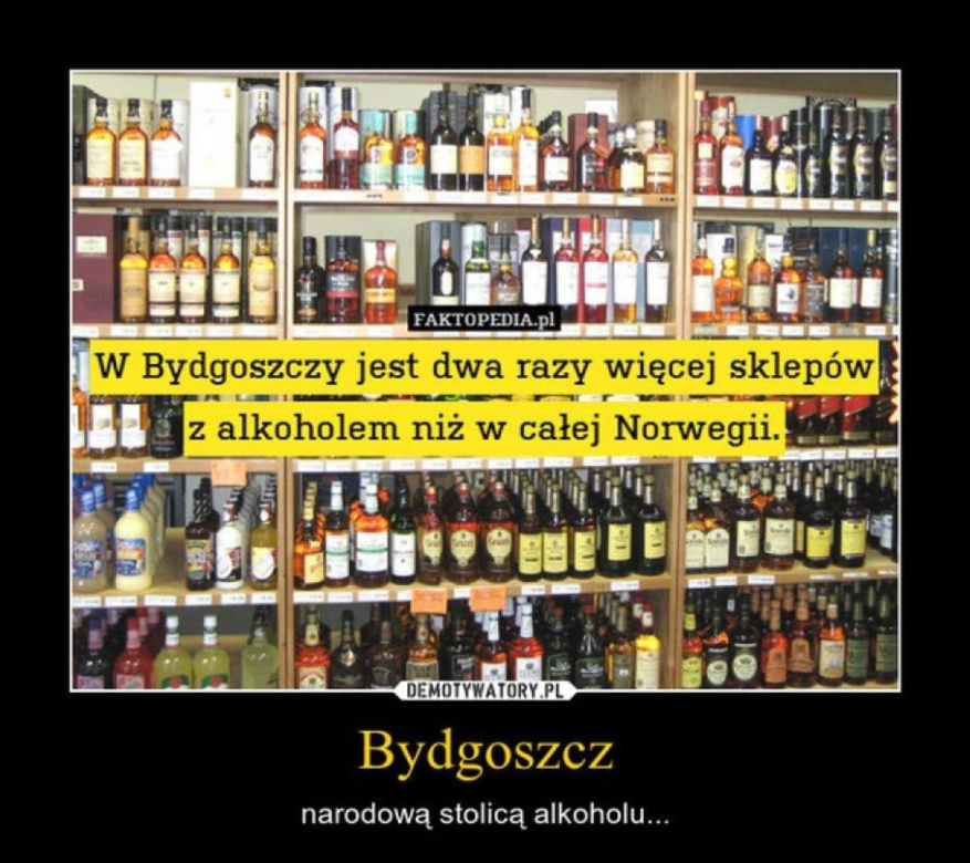 Memy o Bydgoszczy. Padniesz, że śmiechu jak je zobaczysz [GALERIA]