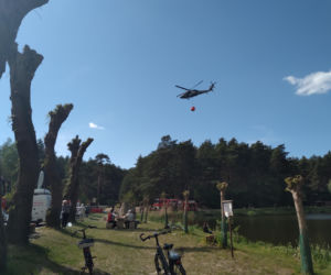 Pożar w Puszczy Białowieskiej