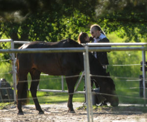 Julia Wieniawa i Baron. Najpierw masaż potem na konia.