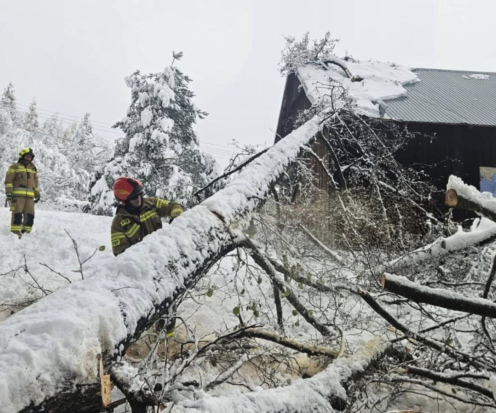 Atak zimy w Polsce. Część kraju sparaliżowana. Strażacy interweniowali 2,6 tys. razy
