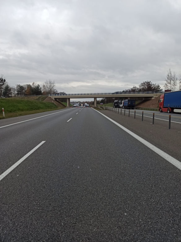 HORROR NA A4 ROZBIŁ RODZINĘ