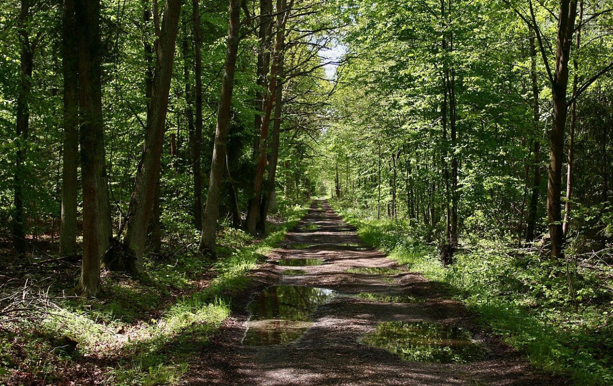 To najmniejszy park krajobrazowy w województwie śląskim. Do niedawna był najmniejszy w Polsce