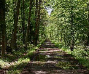 To najmniejszy park krajobrazowy w województwie śląskim. Do niedawna był najmniejszy w Polsce