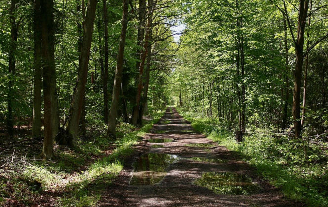 To najmniejszy park krajobrazowy w województwie śląskim. Do niedawna był najmniejszy w Polsce