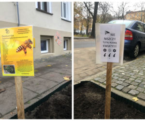 Dobra robota społeczników! Zobaczcie. 