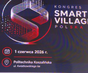 Smart Village – inteligentna wieś