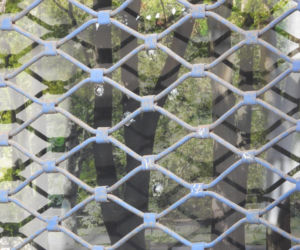 Strzały w centrum Warszawy. Ktoś wziął na cel szkołę