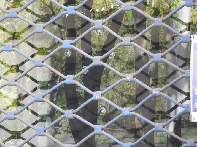 Strzały w centrum Warszawy. Ktoś wziął na cel szkołę