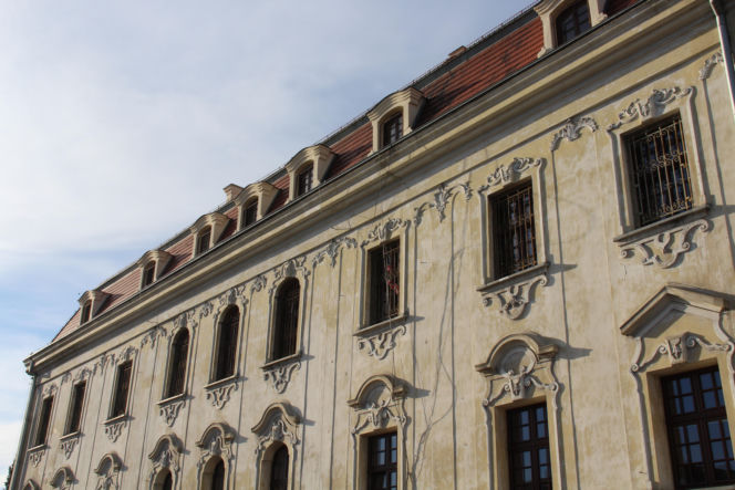 To jedno z najpiękniejszych miasteczek na Śląsku. Czaruje nie tylko rynkiem, ale też unikatowym pałacem