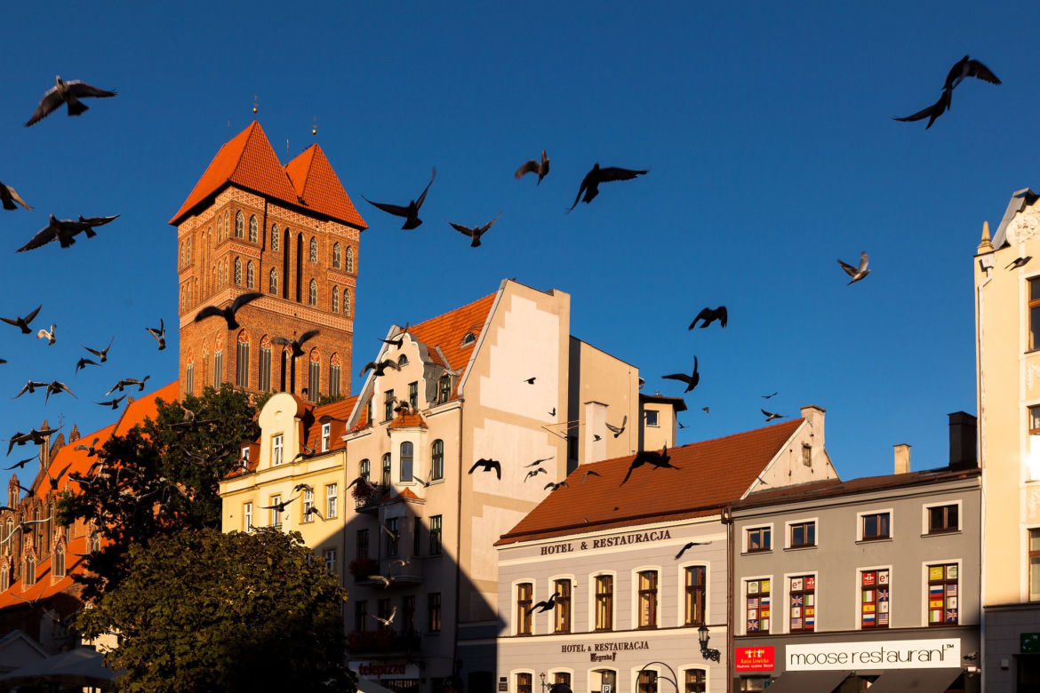 9. Toruń
