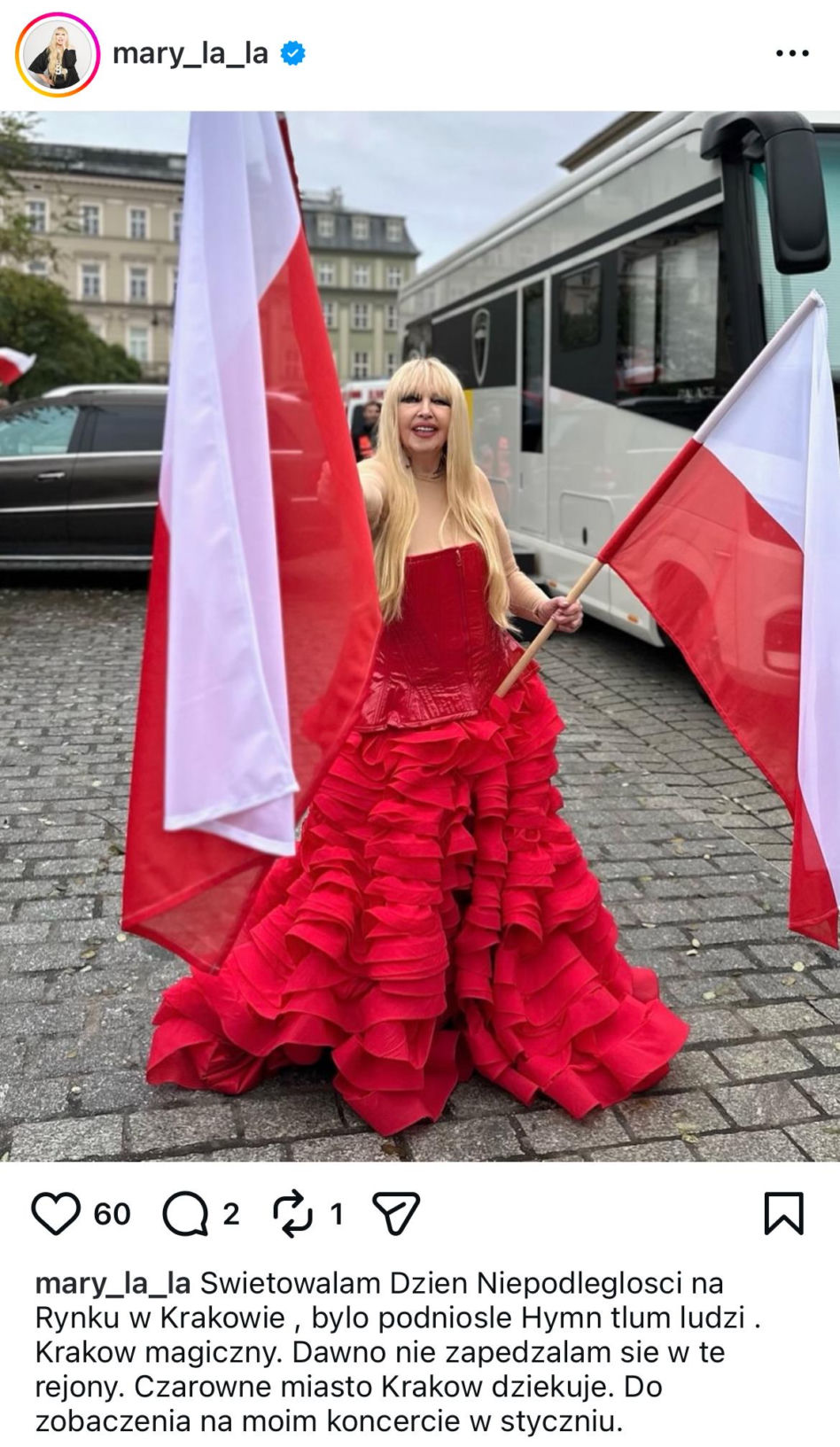 Patriotyczne wpisy gwiazd! Tak 11 listopada uczcili polską wolność