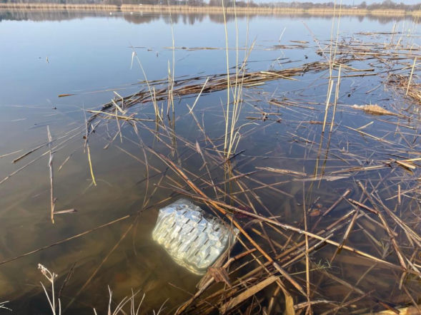 Siedlecka Grupa Karpiowa organizuje akcję sprzątania siedleckiego zalewu i jego okolic. Dołączysz?