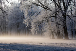 Mróz atakuje Poznań 19.11! Czy to początek zimowego koszmaru?