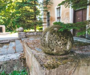Coś niesamowitego! Rzeźbione schody w opuszczonym pałacu robią ogromne wrażenie [ZDJĘCIA]