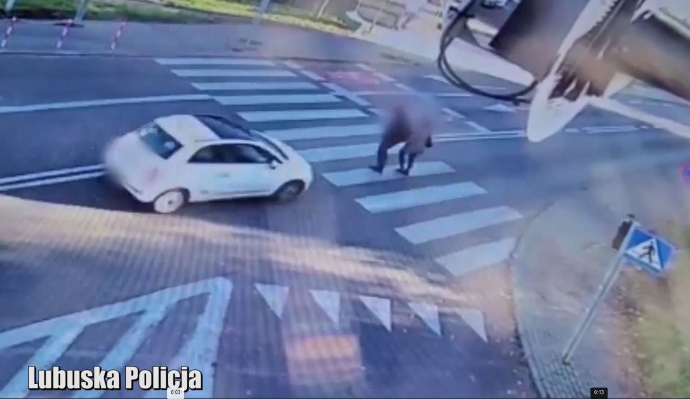 Kobieta huknęła w pieszych na przejściu w Zielonej Górze! Przerażający wypadek [ZDJĘCIA]