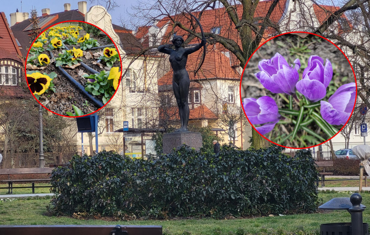 Park Kochanowskiego w Bydgoszczy, czyli serce bydgoskiej Dzielnicy Muzycznej!