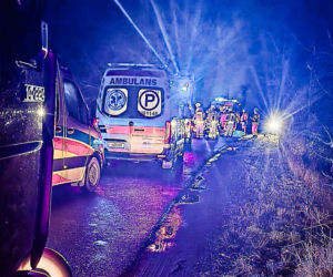 Na zakręcie pojechali prosto, ze sobą wieźli dwa duże psy. Czy któryś z nich ugryzł kierowcę?