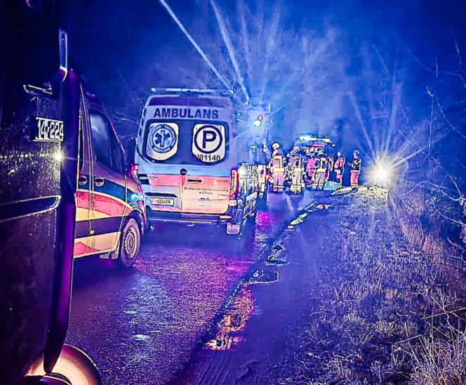 Na zakręcie pojechali prosto, ze sobą wieźli dwa duże psy. Czy któryś z nich ugryzł kierowcę?