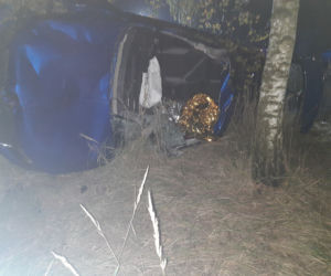 Annówka: Horror na drodze. Śmierć po zderzeniu z łosiem