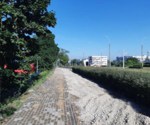 Budowa ścieżki rowerowej w ciągu Szosy Bydgoskiej na finiszu. Tak wyglądają prace w Toruniu