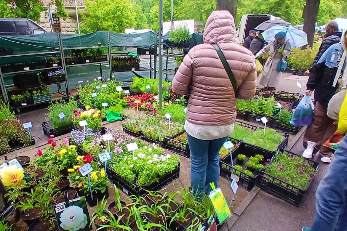 Kiermasz "Pamiętajcie o ogrodach"