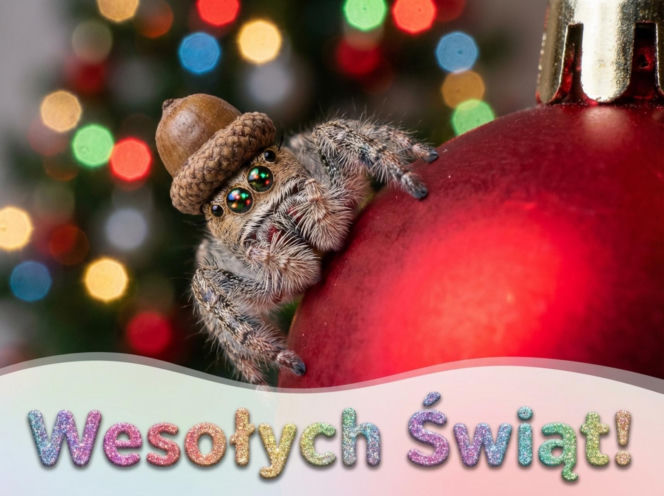 E-kartki na święta Bożego Narodzenia. Piękne grafiki do skopiowania i wysłania