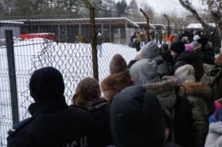 Nowe informacje ws. psów ze schroniska w Sobolewie. Wojewoda zabrał głos