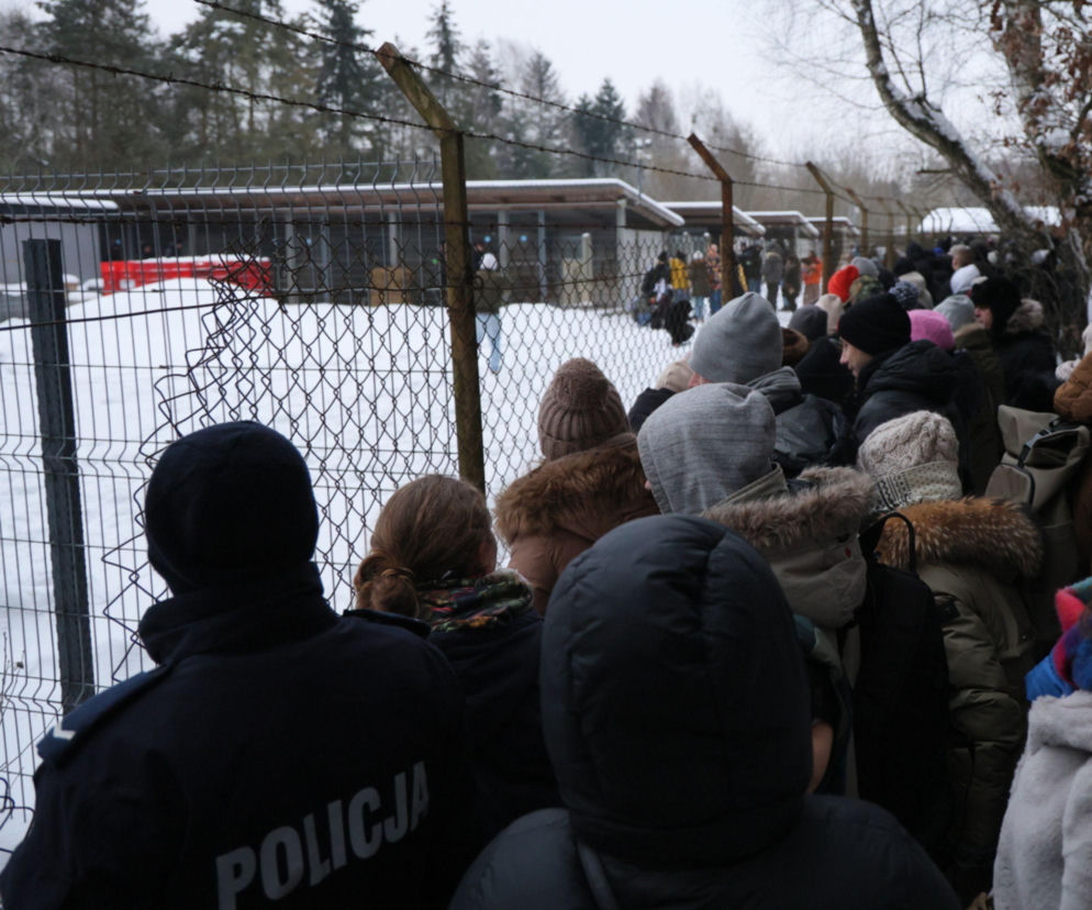 Nowe informacje ws. psów ze schroniska w Sobolewie. Wojewoda zabrał głos