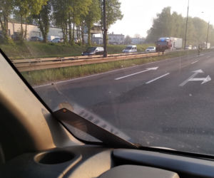 Łoś zablokował ruch na DK 94! Zwierzę stało między barierkami [ZDJĘCIA]