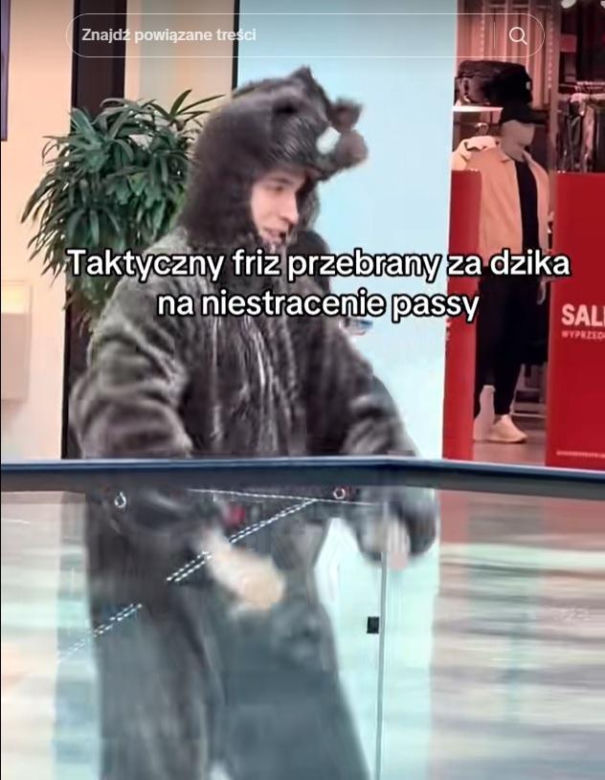 Friz przebrany za dzika