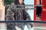 Friz przebrany za dzika
