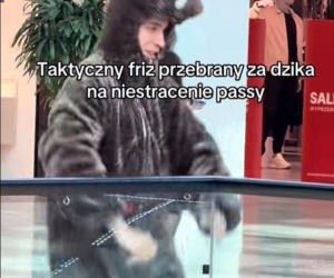 Friz przebrany za dzika