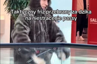 Friz przebrany za dzika