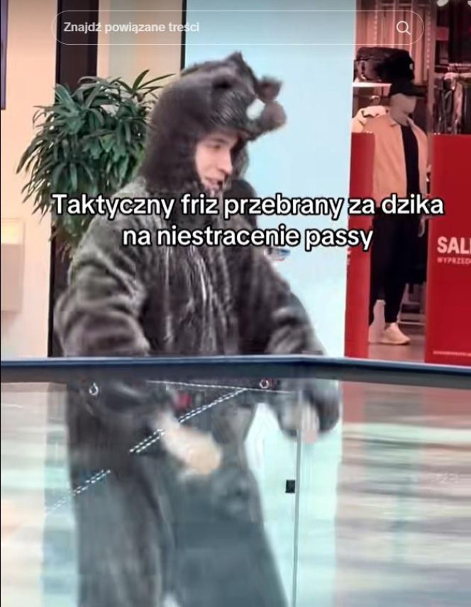 Friz przebrany za dzika