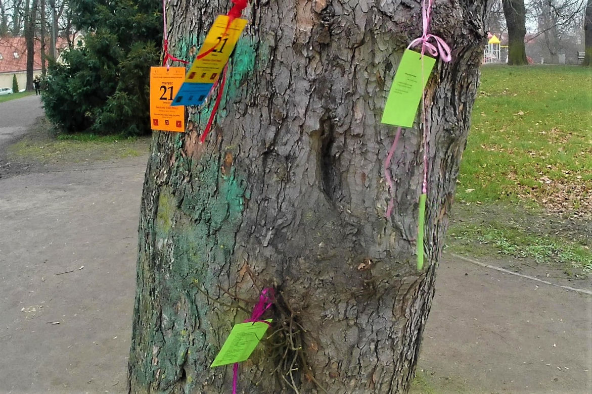 Światowy Dzień Poezji w Szczecinie