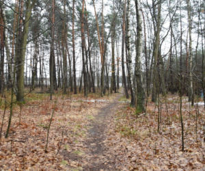 Dąbrówki. Nie żyje 17-letnia Paulina. Przeszliśmy drogę z miejsca imprezy do stawu, z którego wyłowiono ciało [ZDJĘCIA]