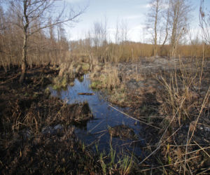 Biebrzański Park Narodowy UGASZONY. Zobacz, jakie zniszczenia spowodował ogień