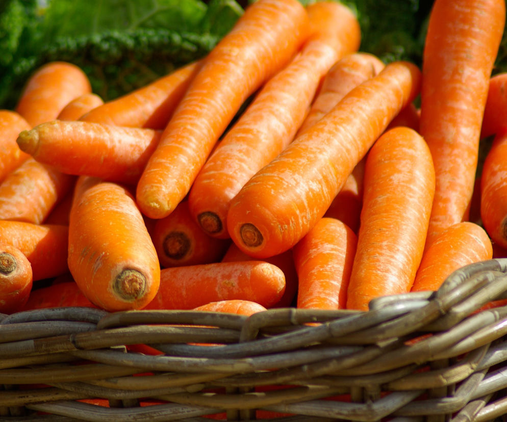 Nowe szafy Jadzłodzielni Foodsharing powstaną w Toruniu. Sprawdź gdzie! [AUDIO]