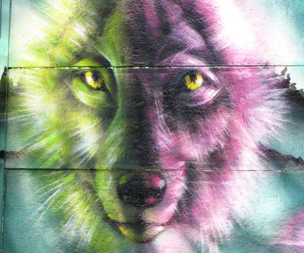 Graffiti przy Żeglarskiej w Rzeszowie nabrało kolorów