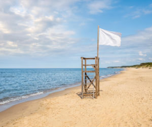 Sinice Krynica Morska. Czy w Krynicy Morskiej można się kąpać 09.08? Flaga, warunki pogodowe