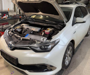 Koniec samochodowych złodziei! Policja rozbiła dziuplę pod Wołominem. Zatrzymano pasera