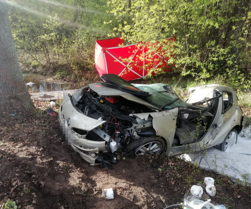 Nie żyją dwie osoby! Ich renault ROZTRZASKAŁO się o drzewo na DK 62 pod Wyszkowem [ZDJĘCIA]