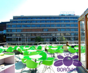 Cafe Borówka - Świdnicka 38a