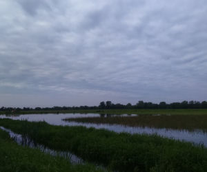 Sytuacja powodziowa w Toruniu - 31 maja