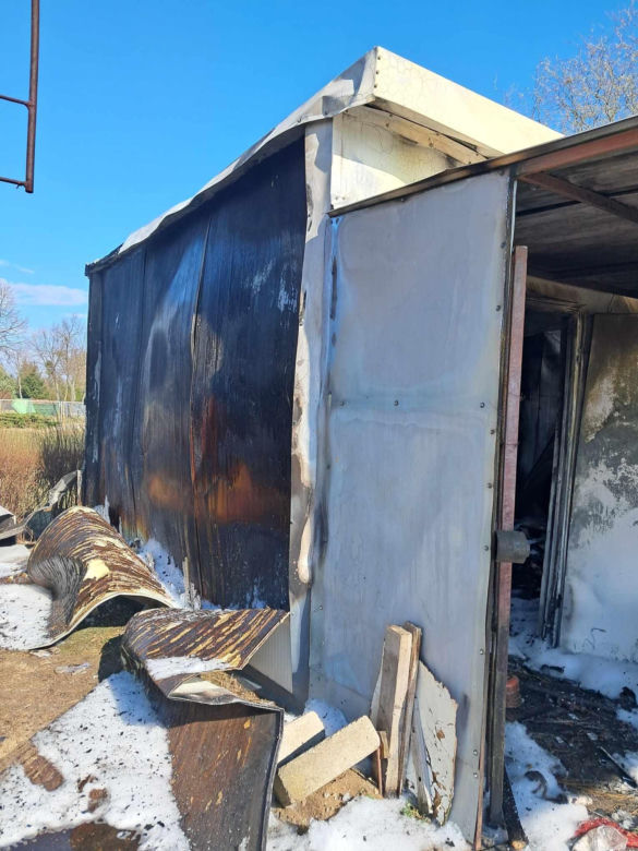 Tragiczny finał pożaru w Toruniu. Ogień pojawił się niespodziewanie, zginął piesek