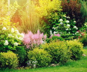 Odkryj ogrodnicze hity nadchodzącego sezonu 2026